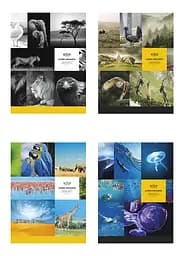 Комплект 4 шт загальних зошитів. Зошит Школярик А5 80 арк. у лінію 5057 4823088207736