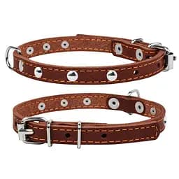 Ошейник Collar одинарный с украшениями (ширина 12мм длина 24-32см) коричневый