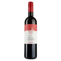 Вино Gerardo Cesari Trevenezie Essere, 11,5%, 0,75 л