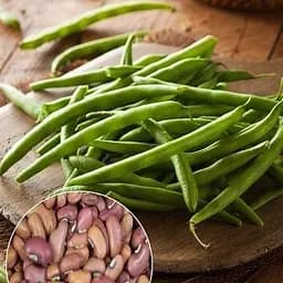 Вигна "Китайська" ТМ "Весна"  4г (32059)