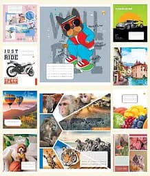 Зошити учнівські 18 аркушів лінія Тверда ТЕ22212 18ЛВ2 МІКС, 20 шт. в упаковці