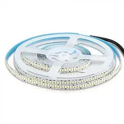 LED лента OLEDIM ST-2835-240-IP20-6000K-24V