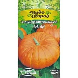 Семена Тыква Насіння України Титан крупноплодный 2 г (667260)