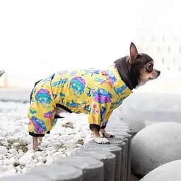 Вітровка для собак Waudog Clothes, Рік та Морті 3, XS25 - мініатюра 3