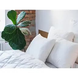Подушка Ecotton Premium Line White 50х70 см (25069) - мініатюра 8