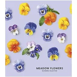 Зошит загальний Школярик Meadow flowers, в лінійку, 36 арк, УФ-лак, 20 шт. (036-3190L) - мініатюра 5