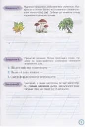 Мої досягнення 3 клас. Тематично-діагностичні досягнення з української мови - мініатюра 4