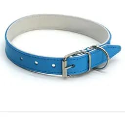 Нашийник для собак Zoo-hunt ОД Фарби шкіряний подвійний блакитний 1,6/23-31 см