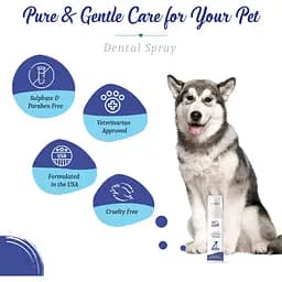 Спрей Pet Clean Dental для гігієни порожнини рота і підтримки здоров'я зубів домашніх тварин 100 мл - мініатюра 5