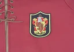 Мантія для квідича Гріфіндор з емблемою Гаррі Поттер Harry Potter Gryffindor HP 6.110.784 - мініатюра 4