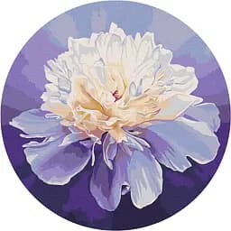 Картина за номерами Brushme Ніжна півонія © Anna Steshenko RC00074M 30 см