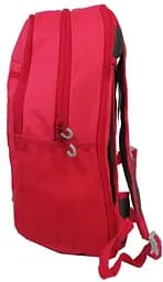 Жіночий спортивний рюкзак з дощовиком 17L Crivit 46x28x18+5 см sum0021321 - мініатюра 7