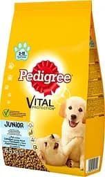 Сухий корм для собак Pedigree Junior з куркою та рисом, 6,5 кг