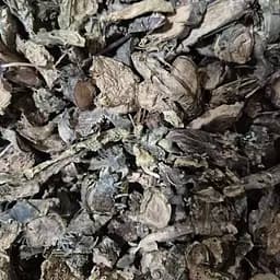 100 г золотой корень/родиола розовая корень сушеный - свежий урожай