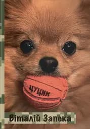 Цуцик - Віталій Запека