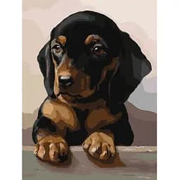 Картина за номерами Ideyka Відданий погляд ©Carl Reichert 30х40 см (KHO4345)