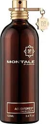 Парфюмированная вода Montale Aoud Forest Тестер 100 мл 