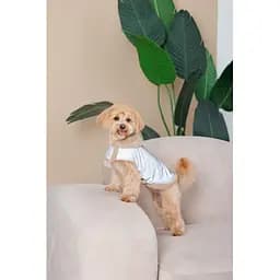 Шлея-жилет Pet Fashion Rob для собак розмір XS - мініатюра 4