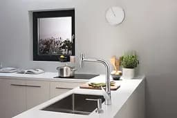 Кухонна дошка Hansgrohe F15 горіх 40960000 - мініатюра 2