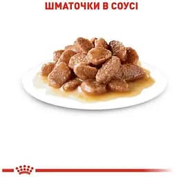 Набір вологий корм  для дорослих стерилізованих кішок Royal Canin Sterilised Sauce шматочки в соусі 1.02 кг (12 шт. х 85 г) - мініатюра 4