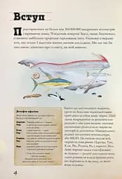 Морські тварини світу. Нотатки, малюнки та спостереження про тварин, що живуть в океані - мініатюра 6