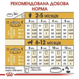 Сухий корм для цуценят породи Золотистий Ретрівер Royal Canin Golden Retriever Puppy, 12 кг (39791201) - мініатюра 7