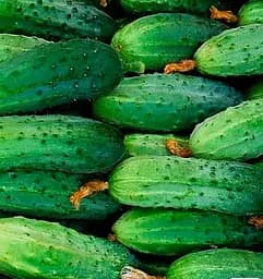 Насіння Весна на вагу Огірок Суміш F1 ціна за 2 г (15697)