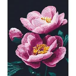 Картина за номерами "Ранкова свіжість" BS54155, 40х50 см