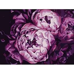 Картина за номерами Bambi Помпезные пионы 13131-NN 30х40 см