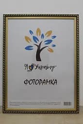 Фоторамка 30х42, коричнева із золотим обрамленням, 2115А-39, СКЛО + ДВП                                                                                                                                                                                                                                                                                                                                                                                                             
