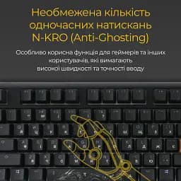 Клавіатура Ducky One 3 Cherry MX Blue RGB Black [DKON2108ST-CUAPXCLAWSC1] UA [126066] - мініатюра 4