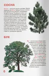 Велика книжка. Рослинний світ України - Олег Зав'язкин - мініатюра 2