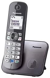 Радіотелефон Panasonic KX-TG6811UAM Металік