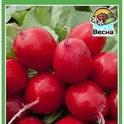 Насіння Весна Редис Гігант 2 г (10353)