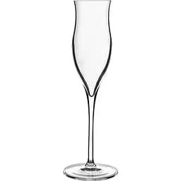 Набір келихів Luigi Bormioli Vinoteque Grappa для граппи 105 мл 6 шт. (117991)