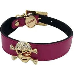 Нашийник для собак Shiboo Candy Pink Pirate-25, срібло