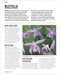 Grow Orchids. Essential Know-how and Expert Advice for Gardening Success - мініатюра 8