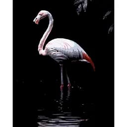 Картина по номерам Strateg Фламинго в воде на черном фоне 40Х50 (AH1268)
