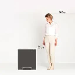 Бак для сміття Brabantia Bo Pedal металік 60 л (211324) - мініатюра 9