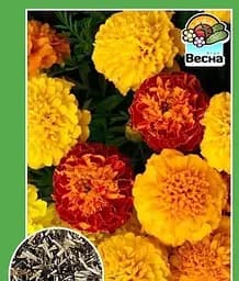 Насіння Весна Чорнобривці Оксамитовий сезон 0.3 г (11247)