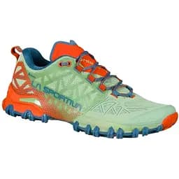 Кросівки LaSportiva Bushido II Woman GTX 40 Sage (1052-46Z722630 40)