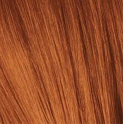 Фарба для волосся Schwarzkopf Igora Color10 New, відтінок 7-7 (середній русявий мідний), 60 мл (2682517) - мініатюра 2