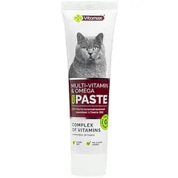 ЭКО Паста мультивитаминный комплекс с Омега-3&6 100 г