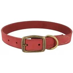 Нашийник для собак Coastal Rustic шкіряний 1.6х40см
