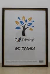Фоторамка 30х42, світло-коричнева із золотою вставкою, 1511-5120, СКЛО + ДВП                                                                                                                                                                                                                                                                                                                                                     