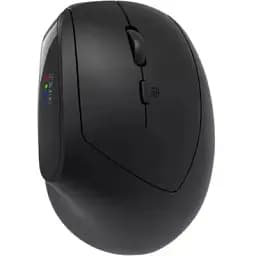 Комп'ютерна мишка Canyon MW-25 LED Silent Wireless/Bluetooth Black (CNS-CMSW25)