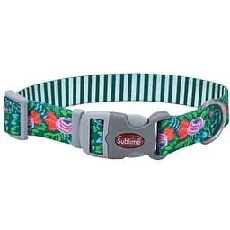 Нашийник для собак Coastal Sublime 2.5х46см (26921_FTS18)