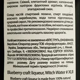 Настоянка плодова Witch Water Лохина 22% 0.5 л подарунковий тубус - мініатюра 4
