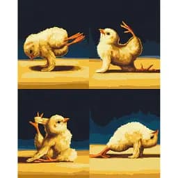 Картина по номерам Brushme Цыплята йоги 1©Lucia Heffernan 40x50 см