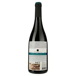 Вино Azul Portugal Dão Tinto, червоне, сухе, 0,75 л (ALR16107) - мініатюра 2